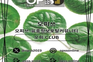 신천오피 신천OP ⦑오피쓰주소.COM⦒ 신천휴게텔 신천오피 신천오피