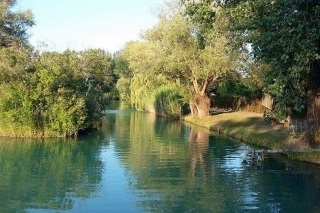 Rybačka vo Wellness Hotel Patince 3