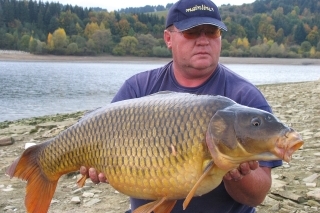 Kapor 13,20 kg chytený na moju obľúbenú nástrahu - panáčik GLM Plum pop-up a spodná guľka slivka Protein Plus.