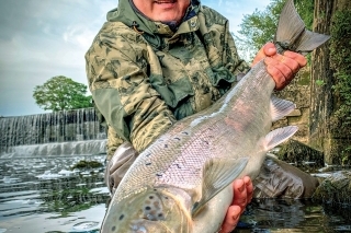 Krásna asi 6 kg ikernačka. Záber doslova pod nohami v krištáľovej  čistej vode a neskutočný boj, ktorý sa vám vryje do pamäti.