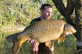 Michalov šupináč z kategórie 15 kg  .