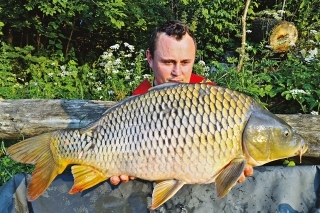 Tradičný úlovok z Oravy, kapor do 6 kg.