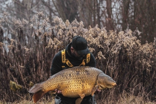 Zimné boilies