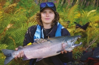 Silver salmon (losos strieborný).