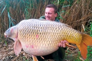 Najväčší kapor našej úspešnej výpravy s obrovským bruchom a hmotnosťou 23,32 kg.