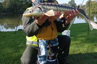 Mateov jeseter bol najvačšou rybou pretekov.