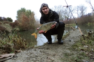 ZIMNÝ FEEDER, ALEBO CHVÍĽKA NA MALOM DUNAJI 2