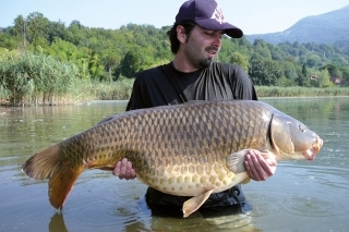 Tento 20 kg šupináč bol chytený na Instinct Factor počas horúceho leta na jednom talianskom jazere blízko pobrežného porastu...