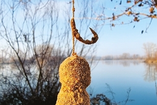 Orezané boilies 2 x 20 mm
v dipe a obalené v prášku.