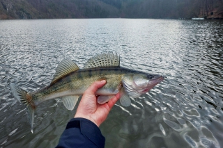 KONIEC SEZÓNY na priehrade – 1. časť 7