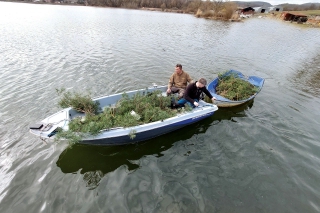 Kruhové hniezda pre zubáče 5