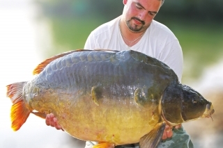 Fešák s hmotnosťou 28,8 kg. Je to tá istá ryba ako na hornej fotografii. Vtedy sa šetrne vrátila do vody, a tak z nej mohol mať opäť radosť.