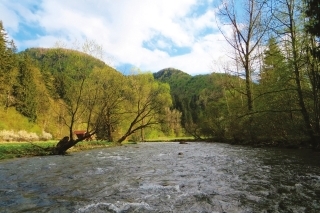 Rieka v oblasti Podsuchá.