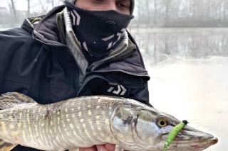 Krásna odmena za vytrvalosť v podobe menšej šťuky.