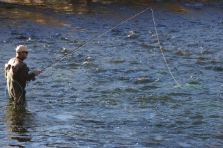 Muškař zabrozený kousek pod mostem u restaurace Aqua.