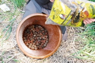 1,5 kg nasekaných a celých boilies Nočná mora („slaná“ verzia) alebo Krvavé peklo-scopex