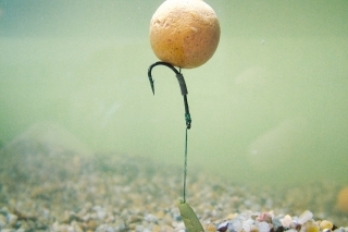 Plávajúce boilies sú naozaj účinné max. 8-10 cm nad dnom.