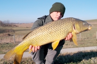 Krásny šupináč, čo sa  ulakomil na kaprie bonbóniky.