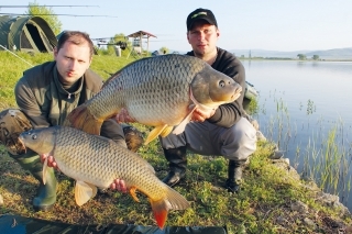 ADACS – Carp V4 - II. Ročník 12