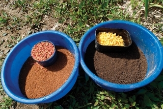 Kilo „ostrého“ krmiva, 2 kg hliny, kukurica a kostné červy nám vystačia na celé popoludnie.