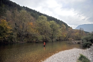 V hlbších jamách na rieke Sana sa nachádzajú hlavátky.