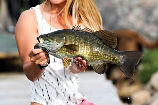 Tesne pred odjazdom som ulovila túto peknú ostračku maloústu (Smallmouth bass).